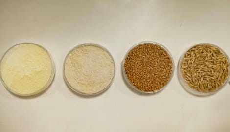 flours
